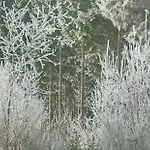 Casa vacanze Le Numéro 12 - à Francorchamps *