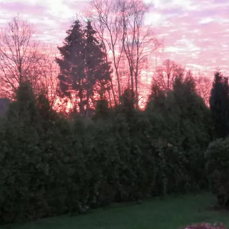 Le Numero 12 - A Francorchamps *