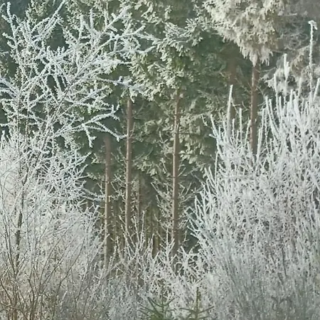 펜션 Le Numero 12 - A Francorchamps *