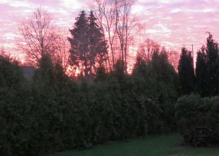 Le Numero 12 - A Francorchamps *