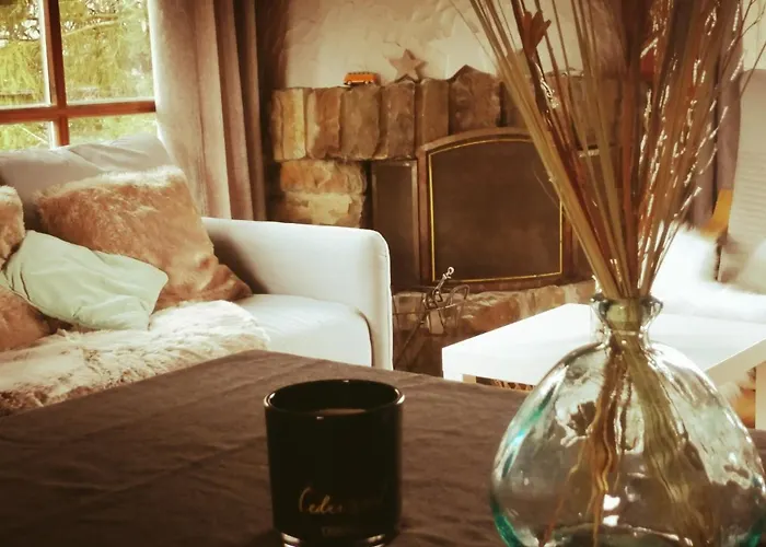 Le Numero 12 - A Francorchamps * מאלמדי