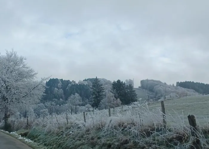 Le Numero 12 - A Francorchamps בית נופש