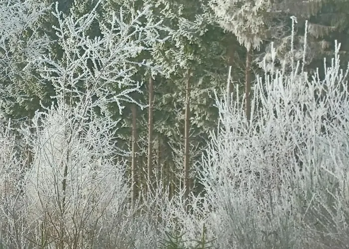 Holiday home Le Numero 12 - A Francorchamps *