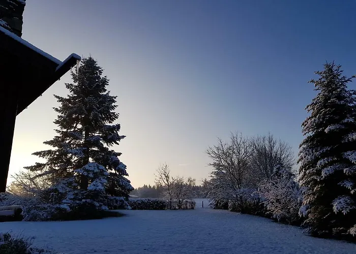 Le Numero 12 - A Francorchamps *